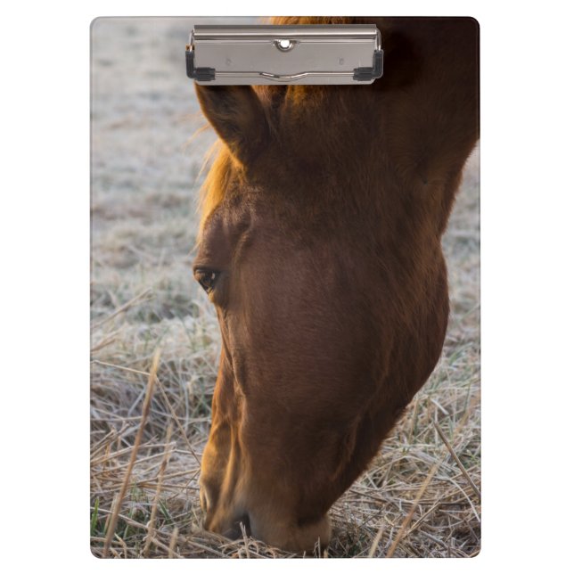 Carpeta De Pinza Tiempo De Comer (Anverso)