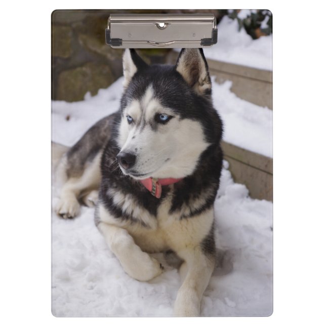 Carpeta De Pinza Tiempo De Descanso (Anverso)