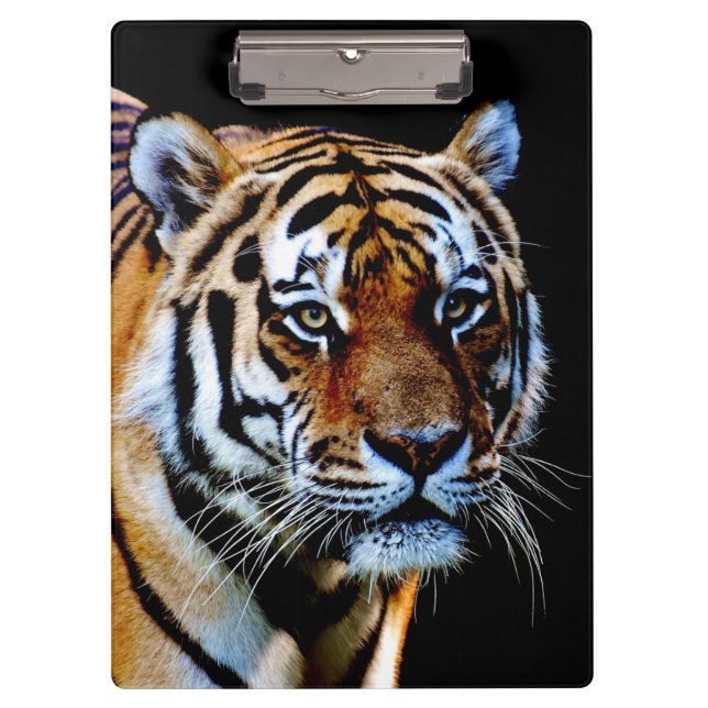 Carpeta De Pinza Tiger Predator (Anverso)