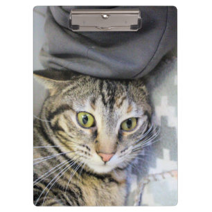 Carpeta De Pinza Tigre
