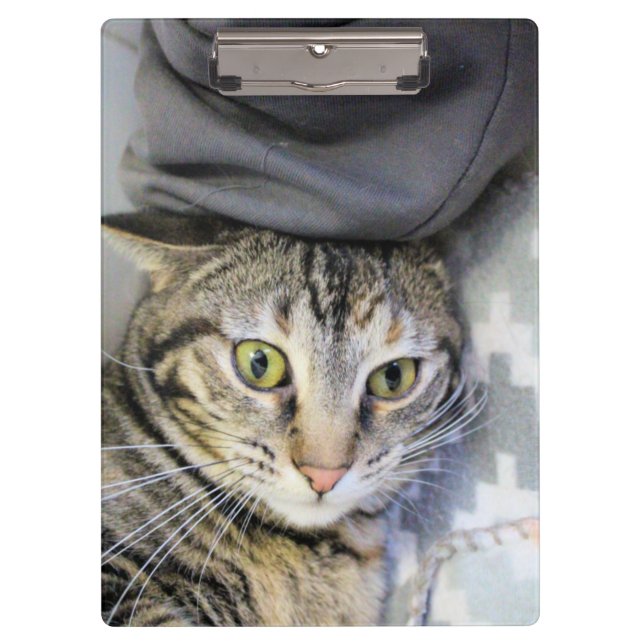 Carpeta De Pinza Tigre (Anverso)