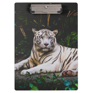 Carpeta De Pinza Tigre
