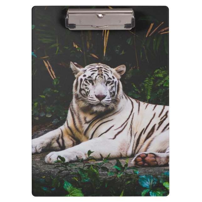 Carpeta De Pinza Tigre (Anverso)