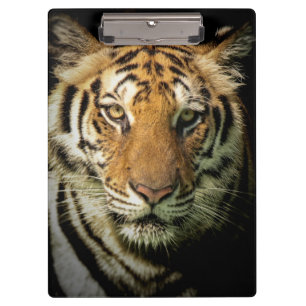 Carpeta De Pinza tigre