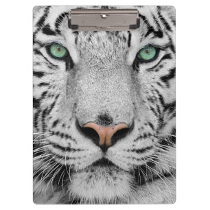 Carpeta De Pinza Tigre blanco