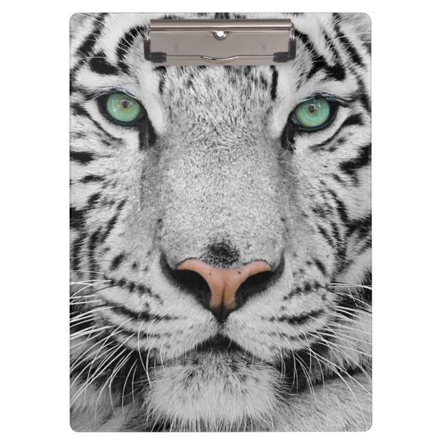 Carpeta De Pinza Tigre blanco (Anverso)