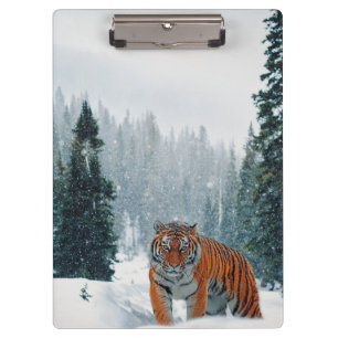 Carpeta De Pinza tigre en la nieve