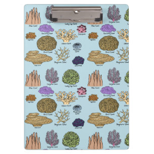 Carpeta De Pinza Tipos De Coral