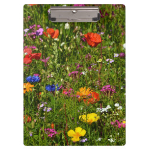 Carpeta De Pinza todo tipo de flores hermosas