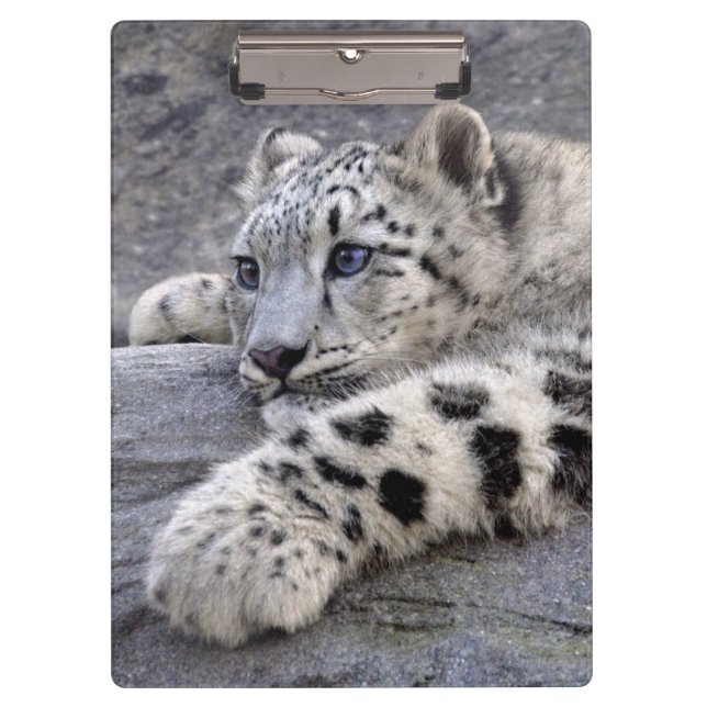 Carpeta De Pinza Todos realizaron el tablero (Anverso)