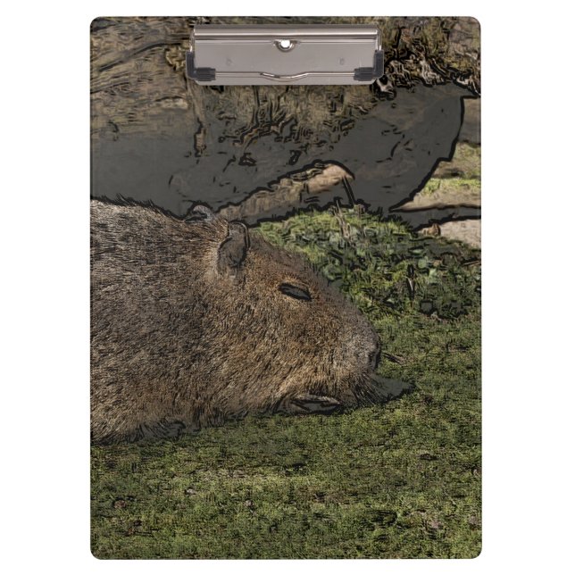 Carpeta De Pinza toony capy 2 (Anverso)