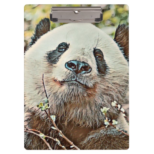 Carpeta De Pinza toony panda (Anverso)