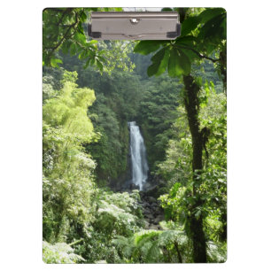 Carpeta De Pinza Trafalgar cae fotografía tropical de selva tropica