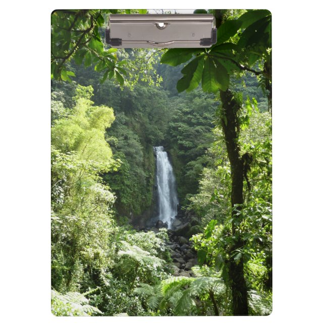 Carpeta De Pinza Trafalgar cae fotografía tropical de selva tropica (Anverso)