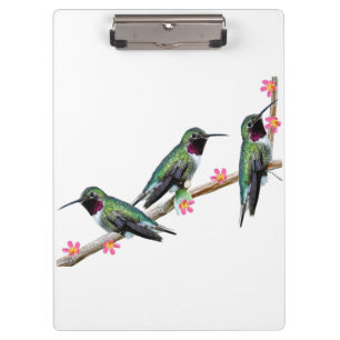 Carpeta De Pinza Tres colibríes en la rama Silencio perenne