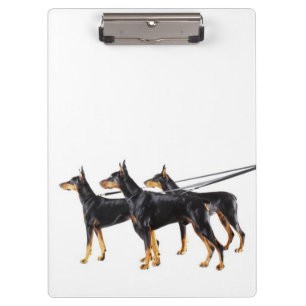 Carpeta De Pinza Tres Dobermans en el correo