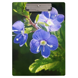 Carpeta De Pinza Tres flores azules