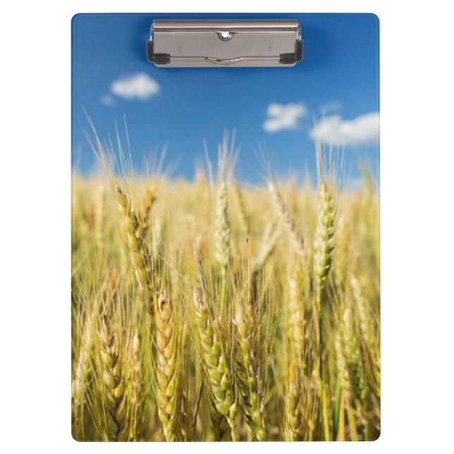 Carpeta De Pinza Trigo de Kansas (Anverso)