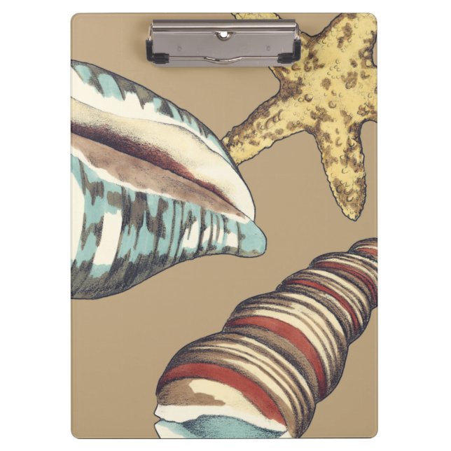 Carpeta De Pinza Trío de Shell en Khaki (Anverso)