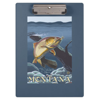 Carpeta De Pinza Trucha que pesca la sección representativa -