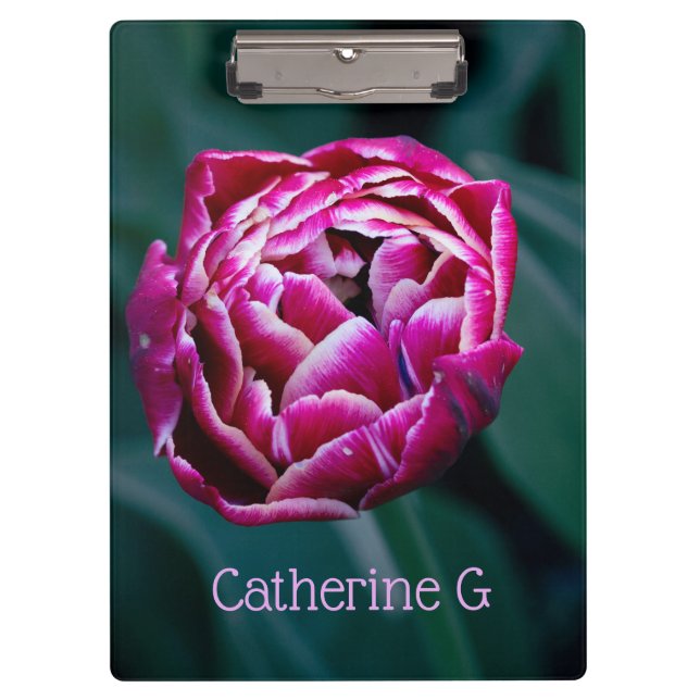 Carpeta De Pinza Tulip de moody rosa (Anverso)
