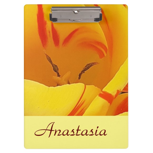 Carpeta De Pinza Tulip de primavera amarilla (Anverso)