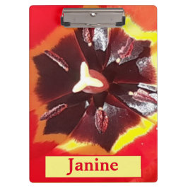 Carpeta De Pinza Tulip Rojo Scarlet