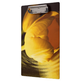 Carpeta De Pinza Tulipán amarillo romántico