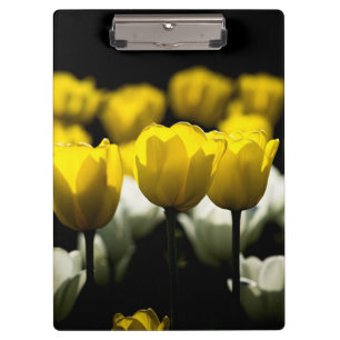 Carpeta De Pinza Tulipanes Amarillo Y Blanco