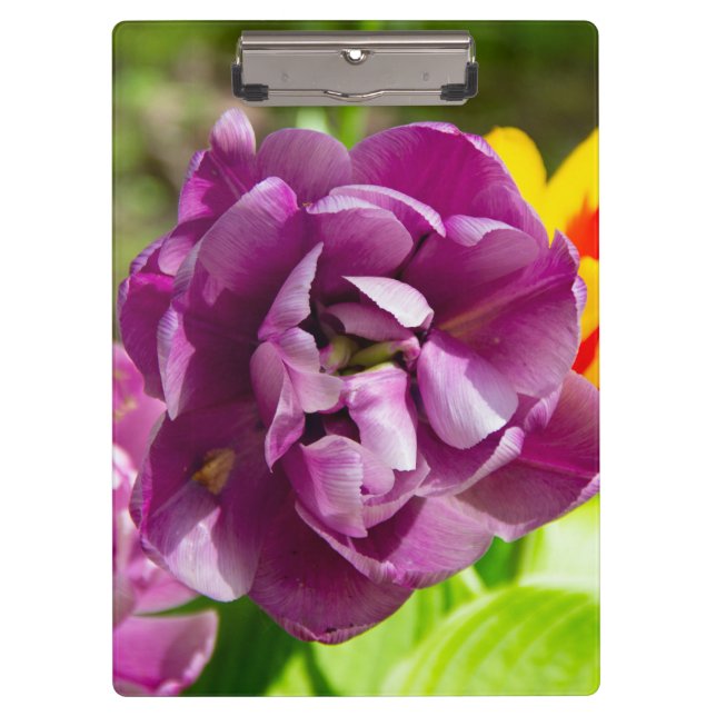 Carpeta De Pinza Tulipanes de Lilac en un día soleado (Anverso)
