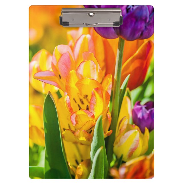 Carpeta De Pinza Tulipanes Encantadores 01 (Anverso)