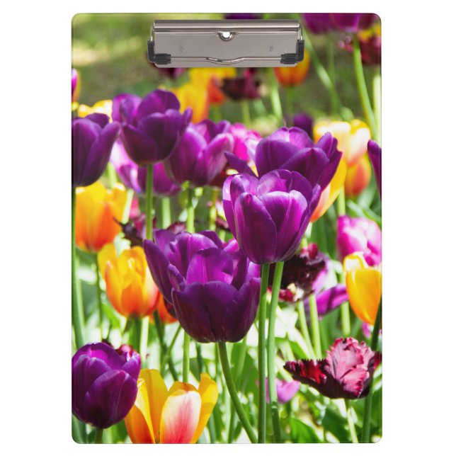 Carpeta De Pinza Tulipanes morados y amarillos (Anverso)