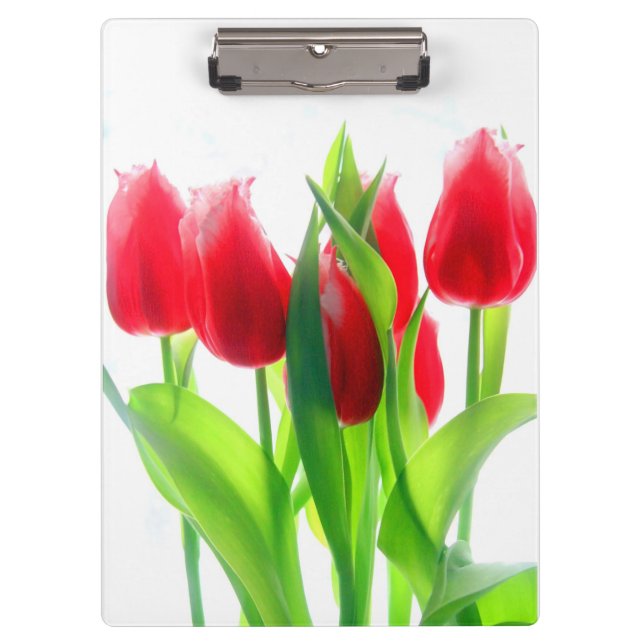 Carpeta De Pinza Tulipanes Rojos Sobre Blanco (Anverso)