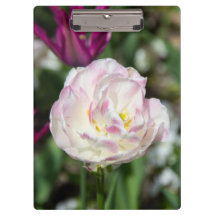 Tulipanes rosa brillante en un día soleado