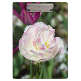 Carpeta De Pinza Tulipanes rosa brillante en un día soleado