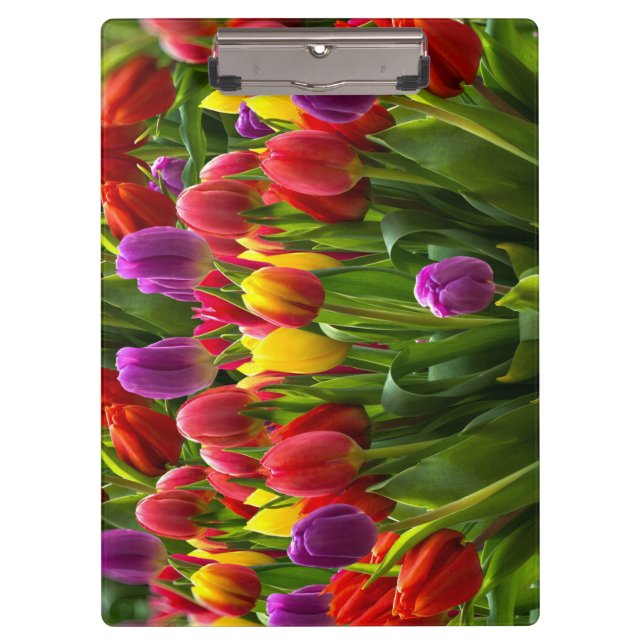 Carpeta De Pinza Tulips brillante (Anverso)