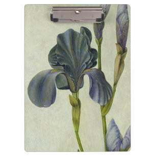 Carpeta De Pinza Un iris