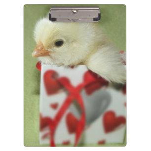Carpeta De Pinza una chica linda sentada en una caja de regalo con