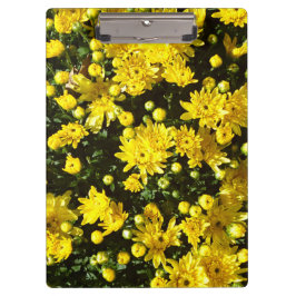 Carpeta De Pinza Una multitud de Mamáes amarillas