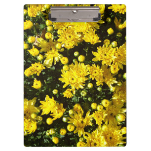 Carpeta De Pinza Una multitud de Mamáes amarillas