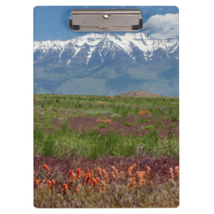 Carpeta De Pinza Utah, EE. UU. El monte Timpanogos se eleva sobre