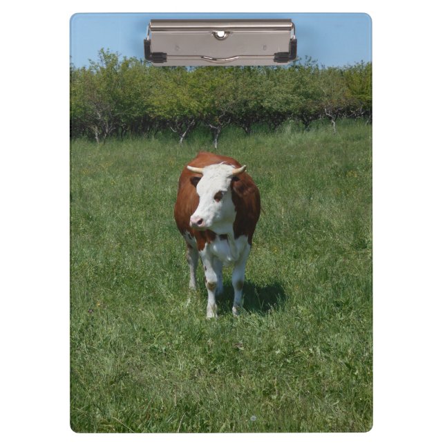 Carpeta De Pinza Vaca en el pasto (Anverso)