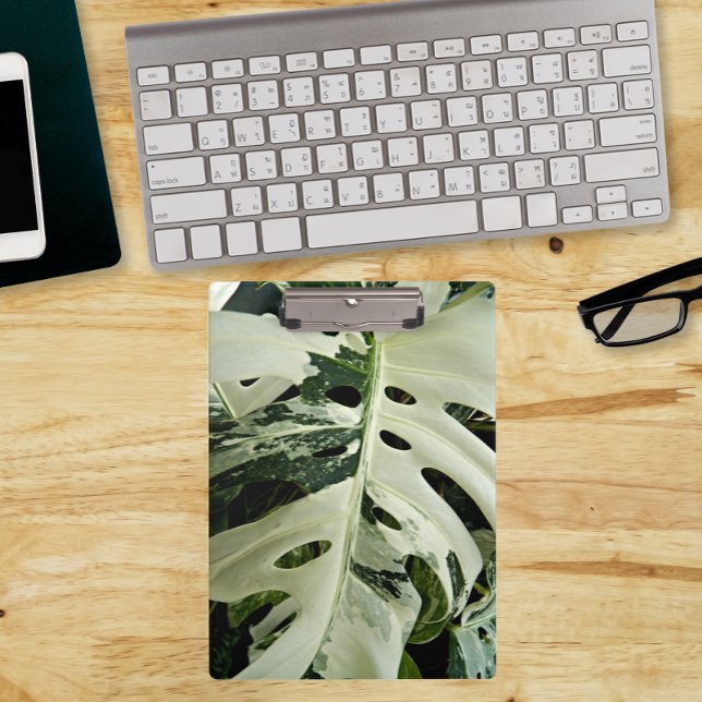 Carpeta De Pinza Variación de la planta de Monstera Botánica (In Situ)
