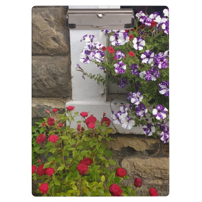 Carpeta De Pinza Ventana de cabaña escocesa con petunias y rosas (Anverso)