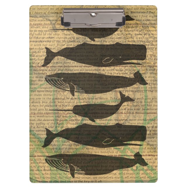 Carpeta De Pinza Vida marina náutica de ballena antigua (Anverso)