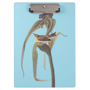 Carpeta De Pinza Vigor Vireo Songbird de Audubon