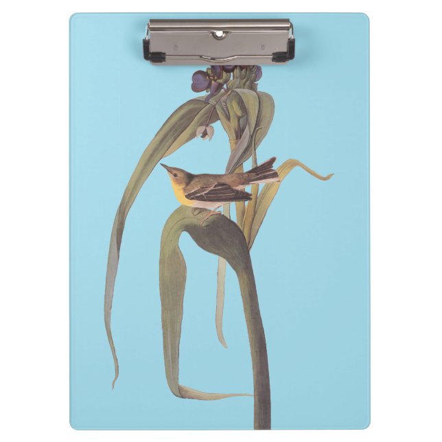 Carpeta De Pinza Vigor Vireo Songbird de Audubon (Anverso)