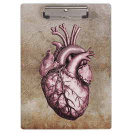 Carpeta De Pinza Vintage anatomical illustration of the human heart