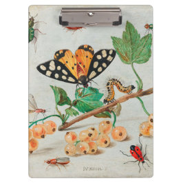 Carpeta De Pinza Vintage illustration of butterflies on berries