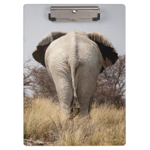 Carpeta De Pinza Vista trasera de elefante